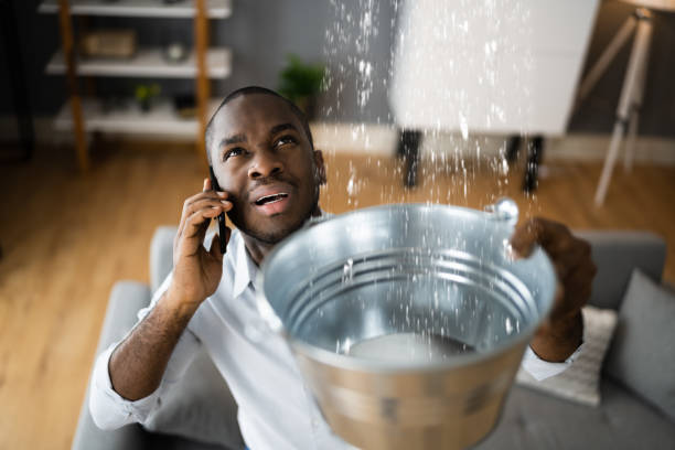 Best Ceiling water damage repair  in Lemoore, CA