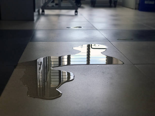 Best Carpet water damage restoration  in Lemoore, CA